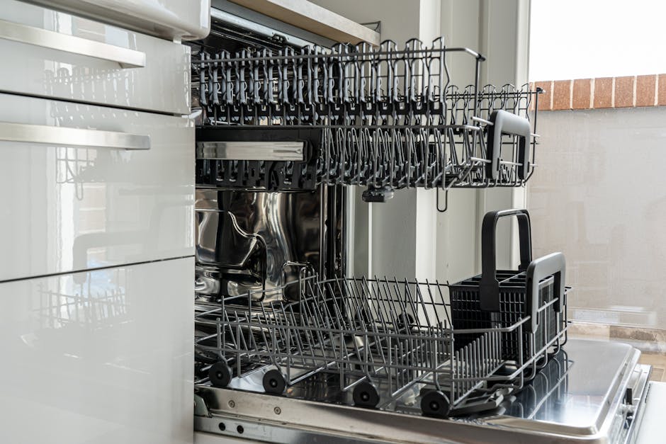Empty dishwasher rack — common spots to check when dishwasher not draining