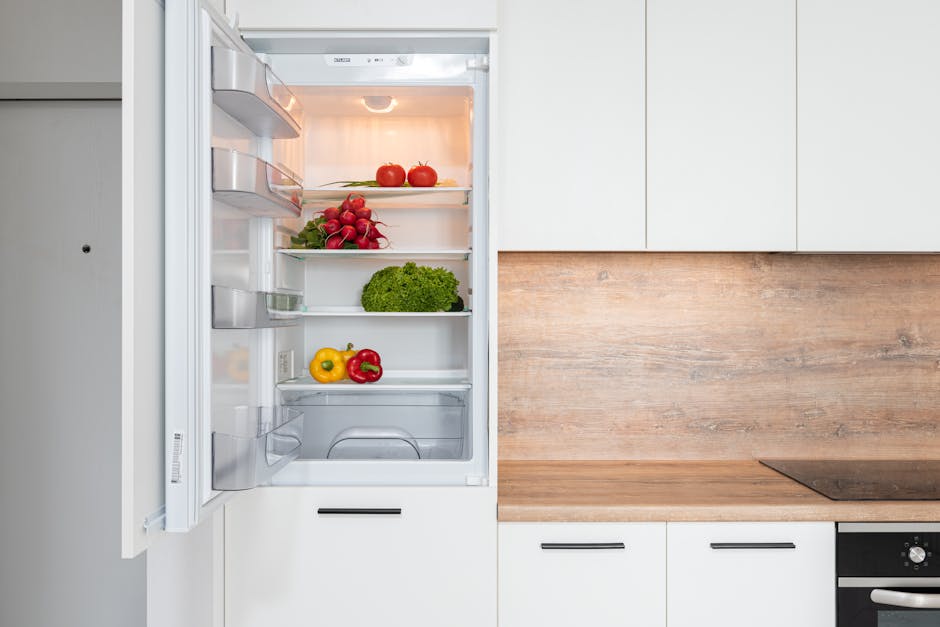 Refrigerator not cooling - open refrigerator filled with vegetables in a contemporary kitchen