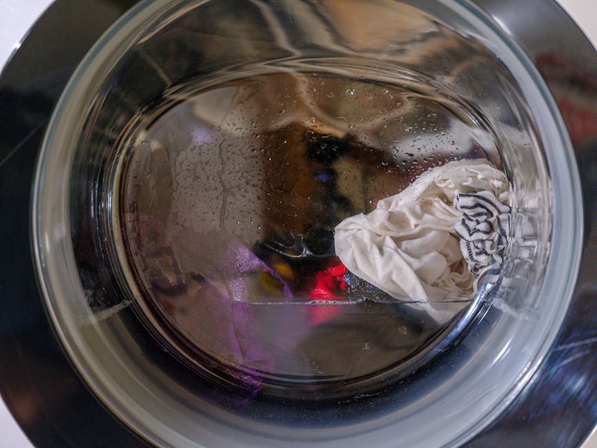Dryer not spinning drum check: a clear view of wet clothes tumbling inside a front-loading dryer drum, the rotation you are trying to restore when troubleshooting a dryer not spinning problem