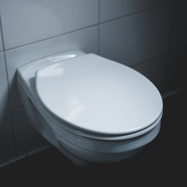 running toilet - illustrative photo by Jonas Thomann on Pexels